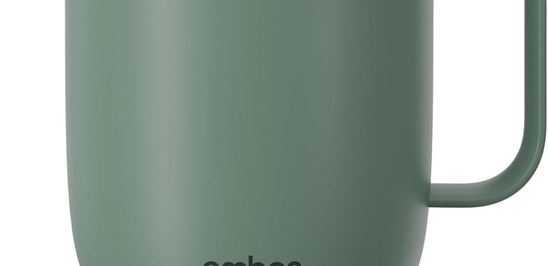 51NRIgybmdL._AC_SL1500_.jpg